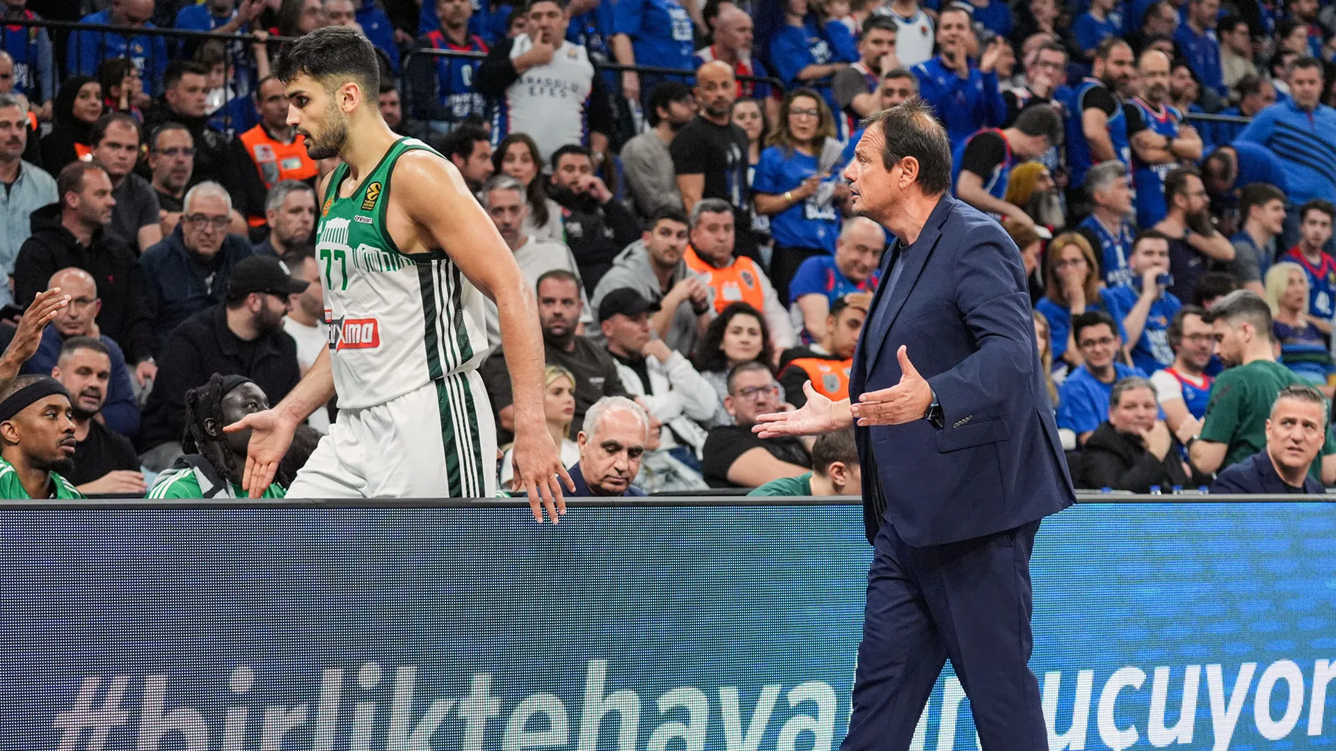 Diversi i cori espliciti intonati contro Ataman dai tifosi dell'Anadolu Efes
