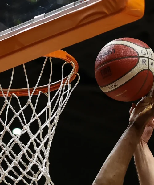 Non solo playoff: a Trieste è tempo di riconferme per la prossima stagione