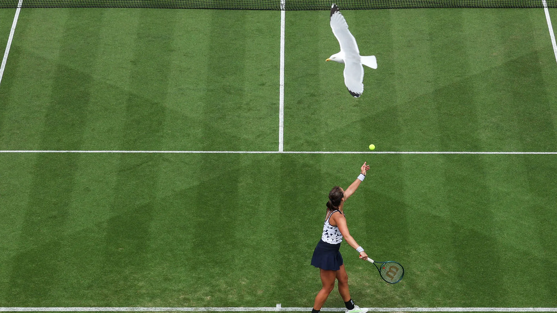 E' diventata la vera star del torneo