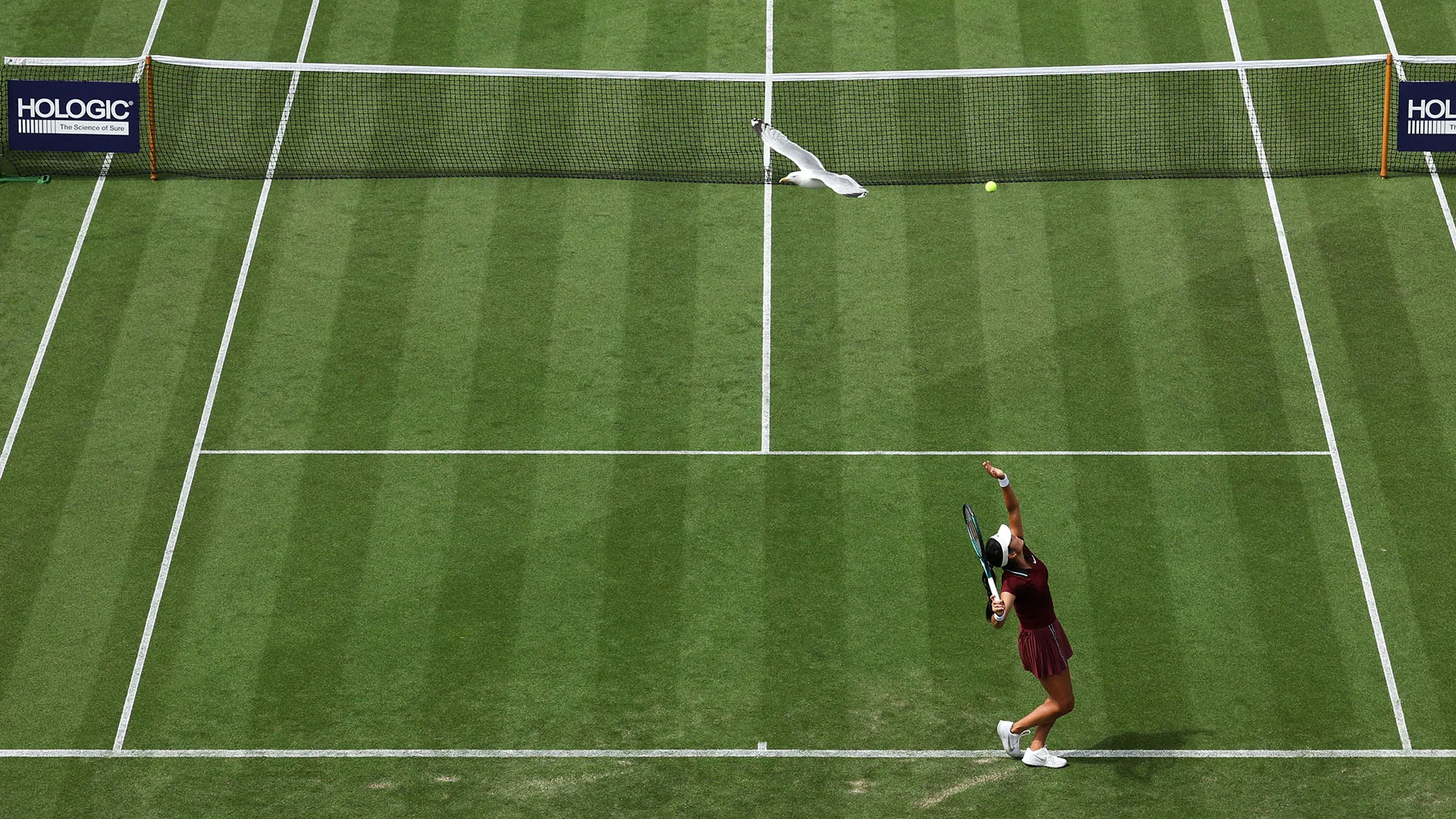La campionessa britannica ha rischiato di colpirlo mentre stava per servire