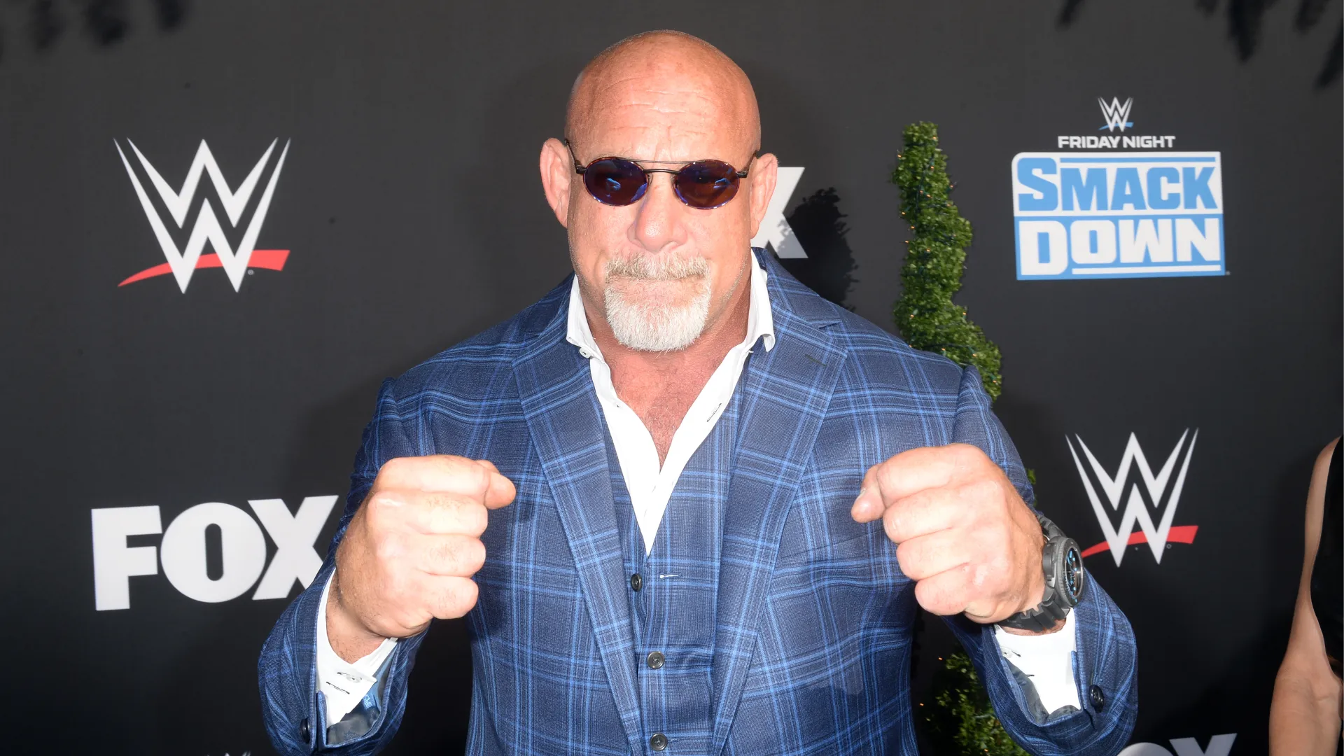 12) Bill Goldberg: patrimonio netto 16 milioni di dollari. Oltre ad aver vinto diversi titoli mondiali, è diventato anche una star della TV
