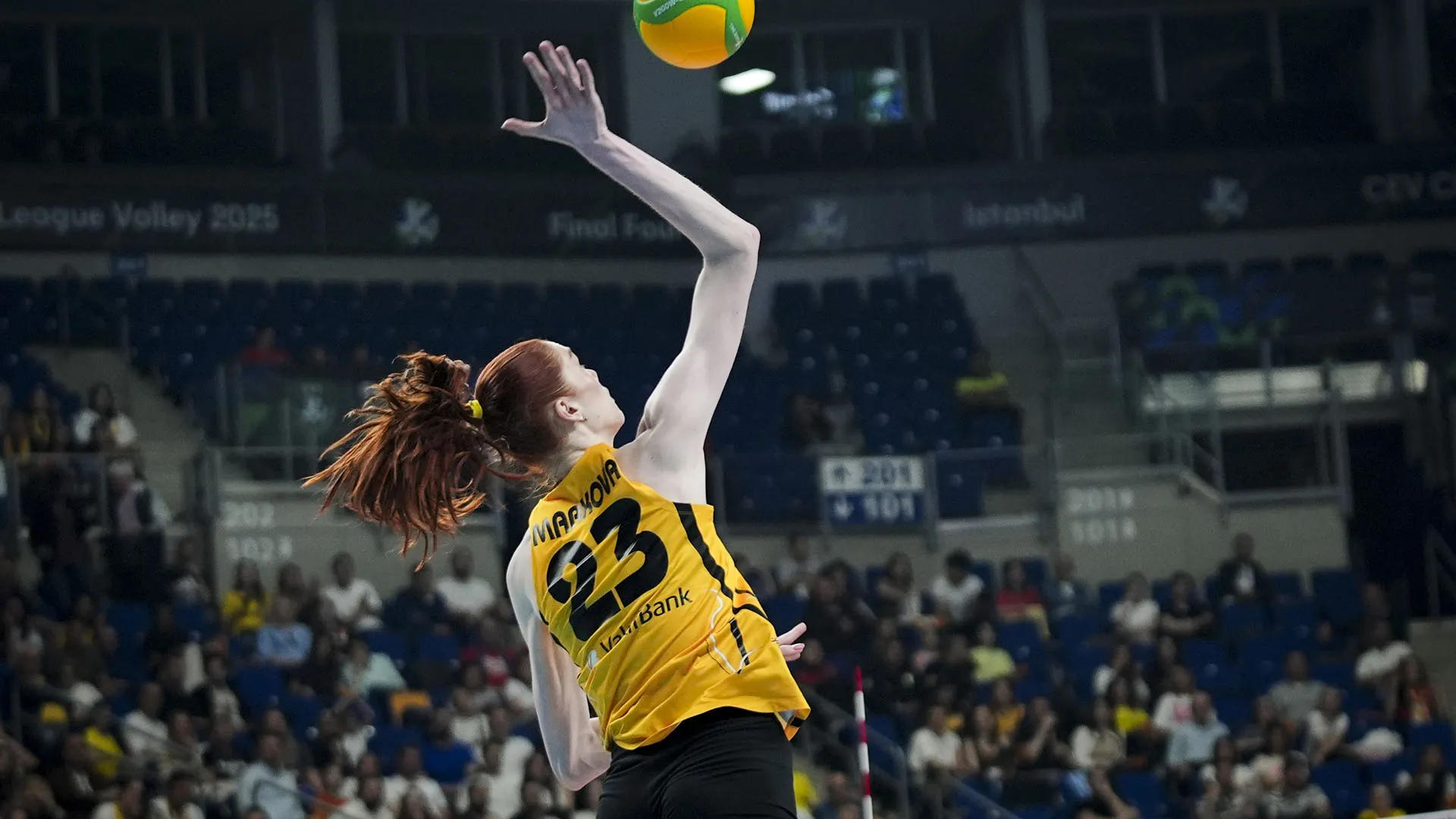 La pallavolista russa gioca come schiacciatrice nel VakıfBank Spor Kulübü, in Turchia
