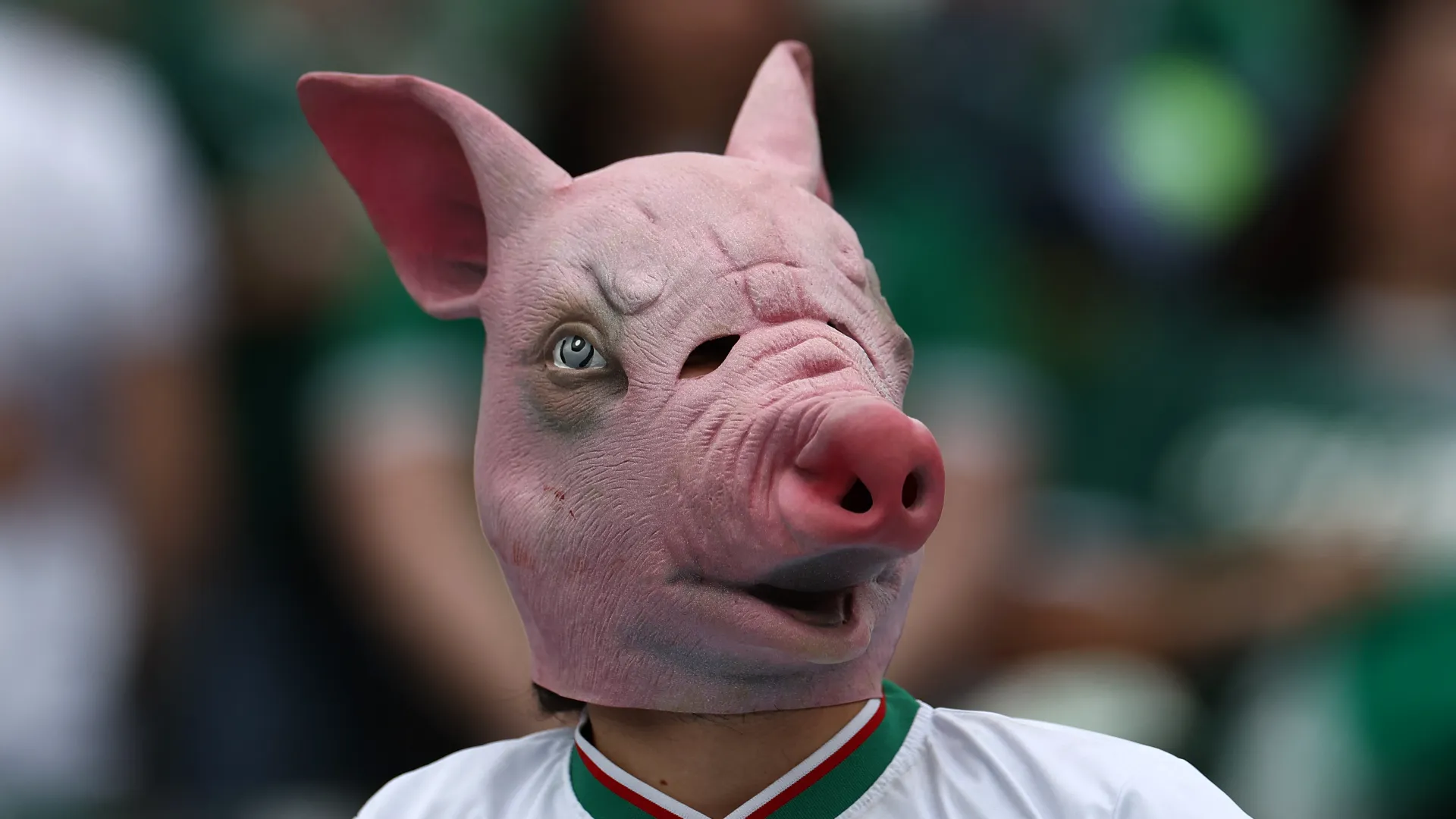 In passato i tifosi del Palmeiras venivano spesso chiamati 'maiali' dalle tifoserie avversarie
