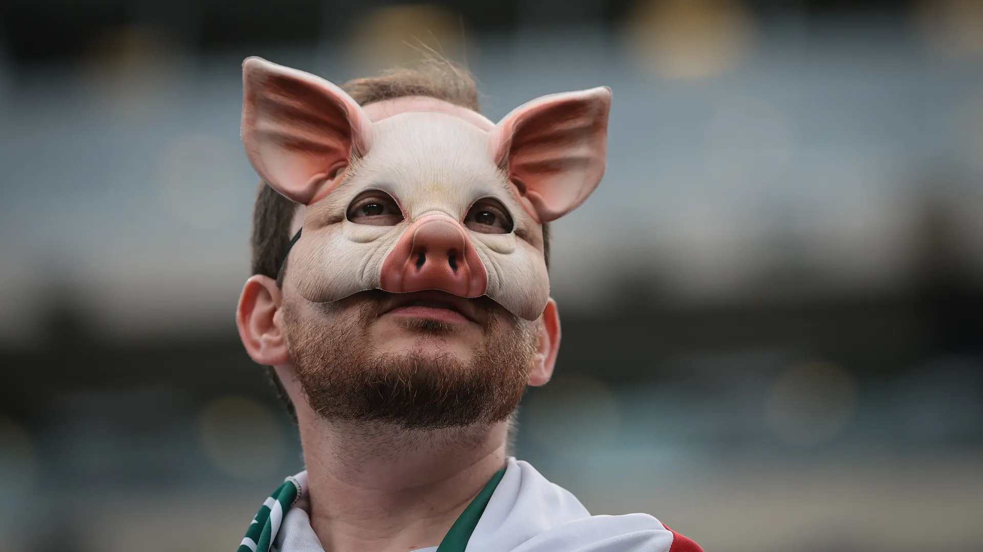 Molti tifosi del Palmeiras si sono presentati con una maschera da maiale
