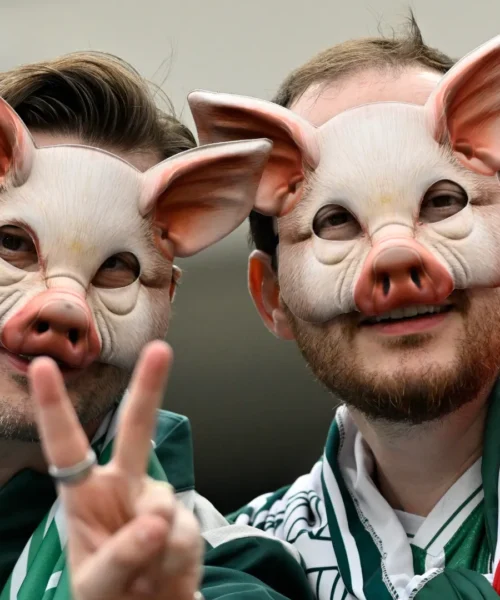 Palmeiras-Porto: stadio invaso da maiali. Le foto