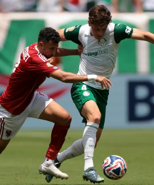 Mondiale per club, il Palmeiras supera l’Al Ahly (e la sospensione per allerta meteo)
