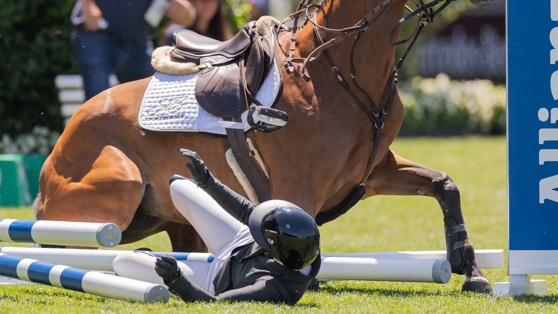 Stephi de Boer è caduta da cavallo sbattendo violentemente la spalla sinistra