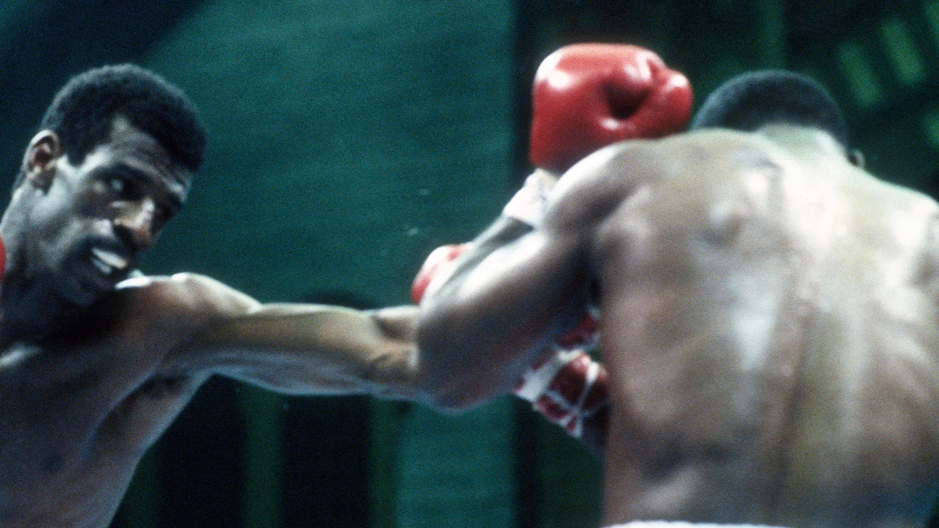 È stato campione del mondo WBC dei pesi mediomassimi dal 1981 al 1983 e dei massimi leggeri dal 1985 al 1986
