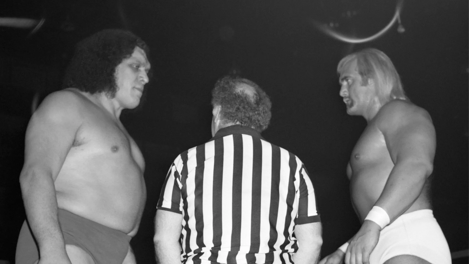 È stato dodici volte campione del mondo, avendo vinto sei volte il WWF World Heavyweight Championship e sei volte il WCW World Heavyweight Championship
