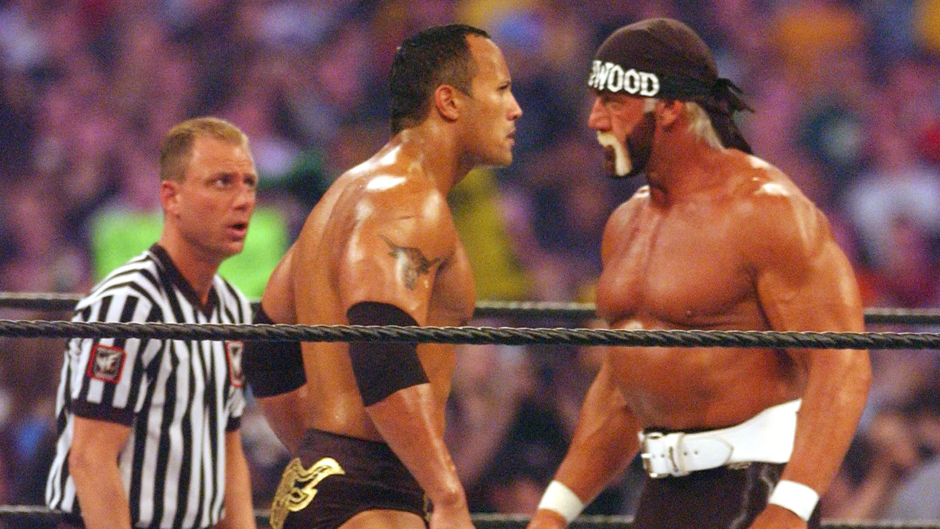 Hulk Hogan ha partecipato anche a diversi film tra i quali Rocky III e Missili per casa
