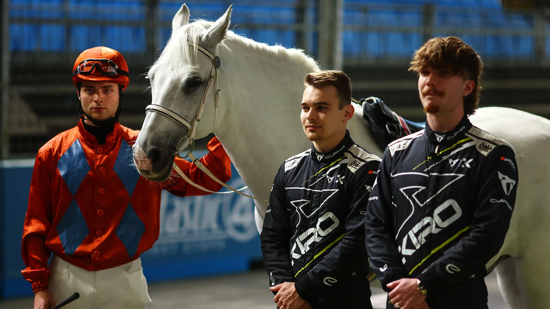 Sulla pista dell'ExCeL London è comparso uno splendido cavallo bianco
