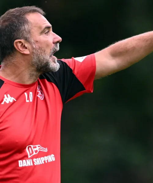 Spezia e Cittadella chiudono sul 2-2