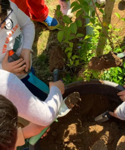 Lega Dilettanti e un impegno concreto per l’ambiente