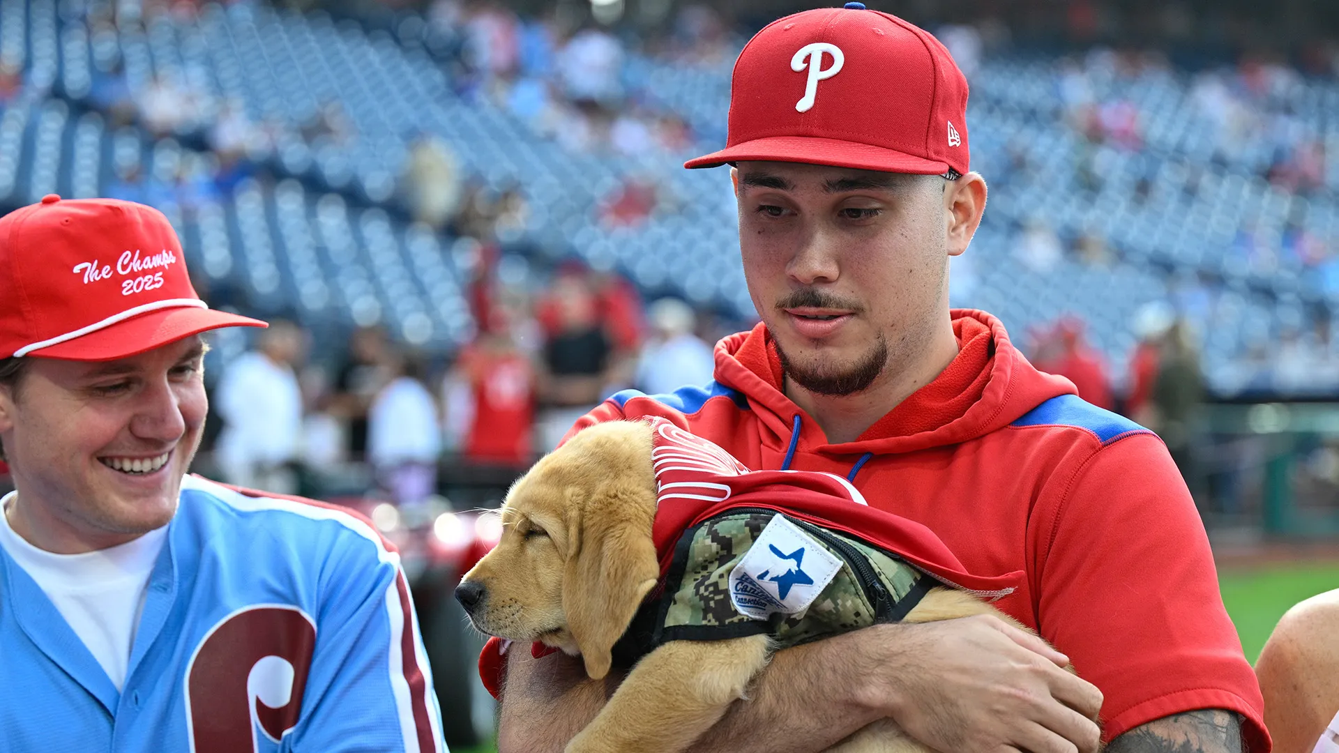 Questi cani sono di grandissimo supporto ai veterani di guerra
