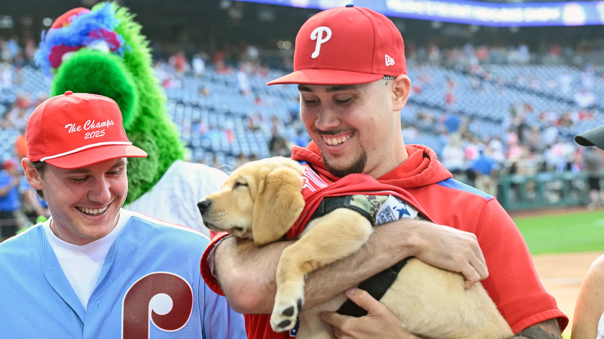 I Phillies hanno presentato Tugger, un cucciolo di labrador retriever di 10 settimane
