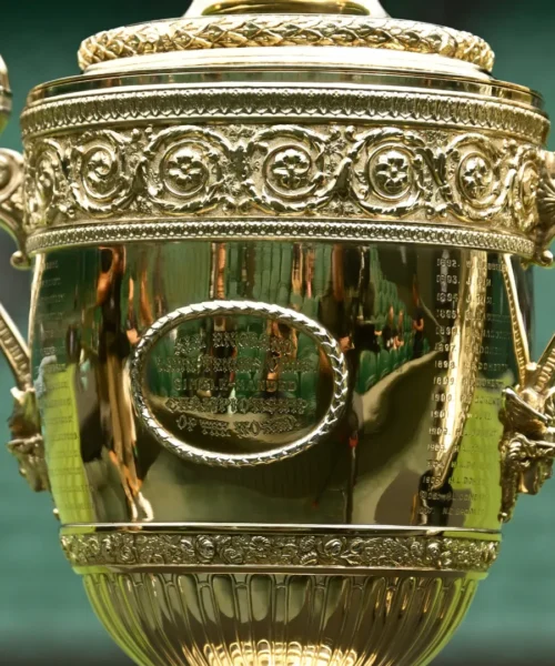 La finale maschile di Wimbledon sarà trasmessa in chiaro