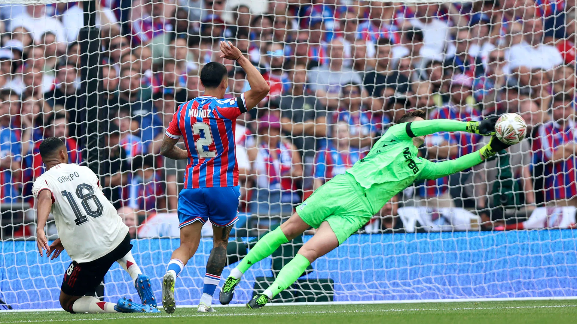 Il Crystal Palace alcuni mesi fa ha conquistato la FA Cup superando in finale il Manchester City