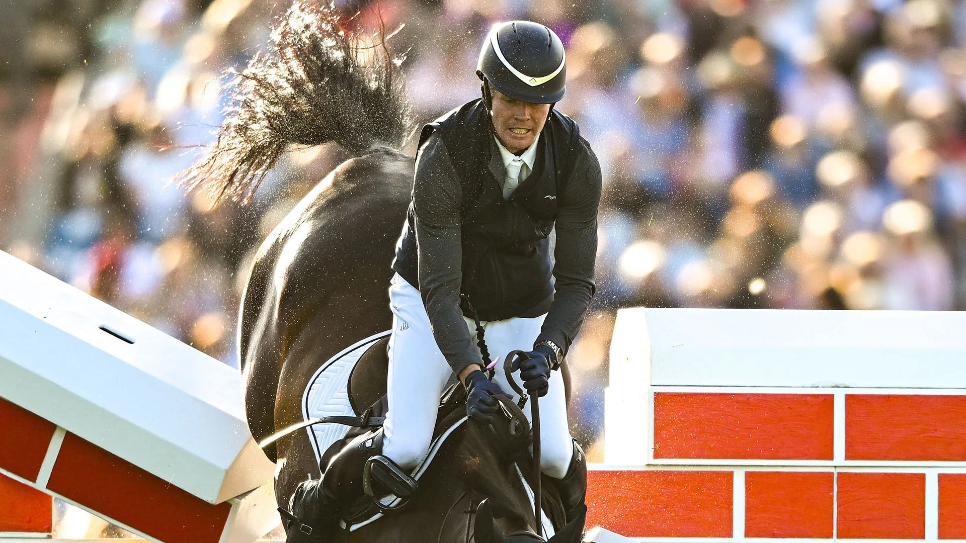 La caduta è avvenuta durante il Dublin Horse Show