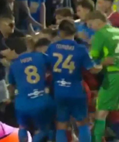 Rissa in campo, nella mischia c’è anche un tifoso: le foto