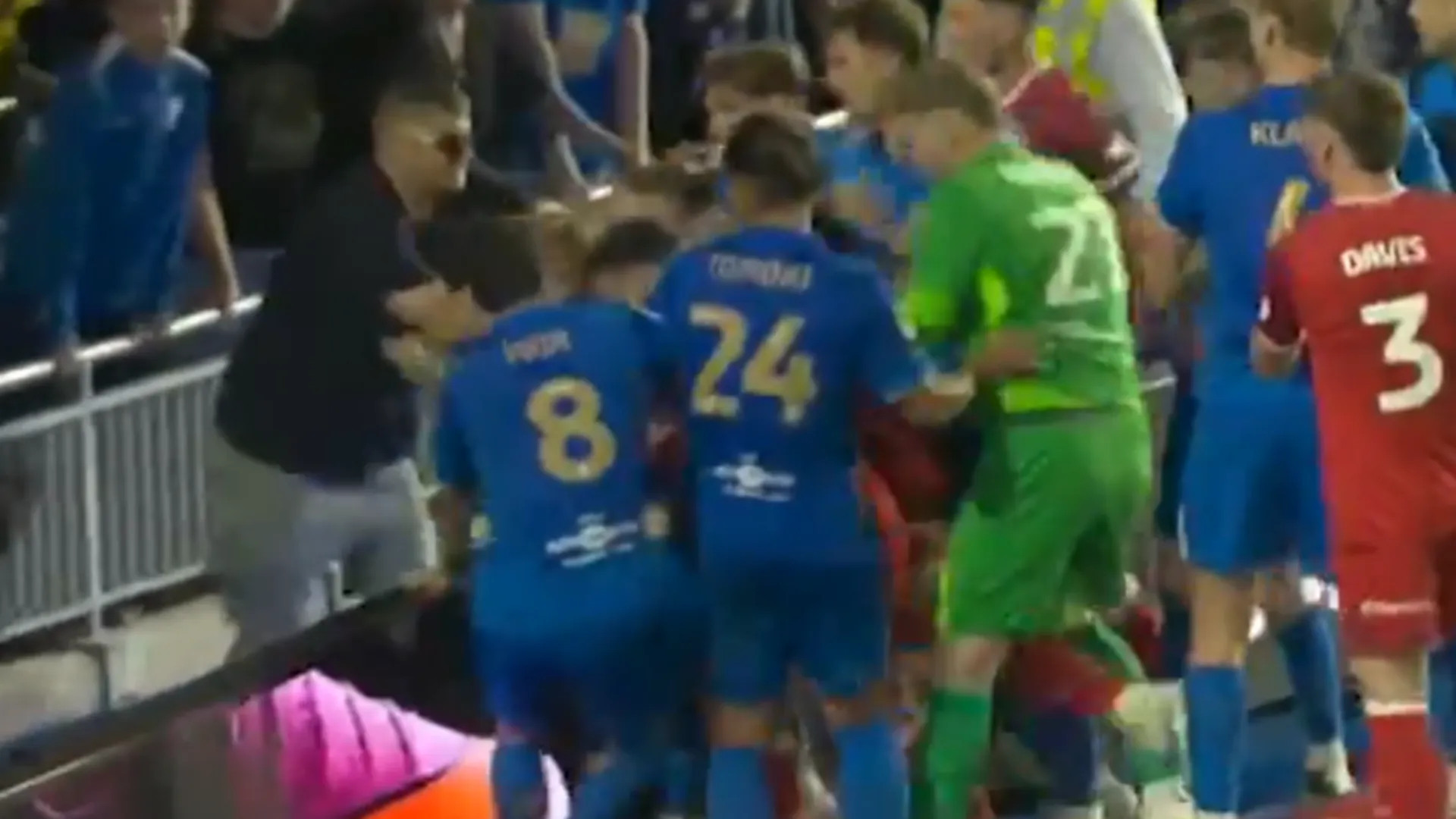 Rissa in campo, nella mischia c’è anche un tifoso: le foto