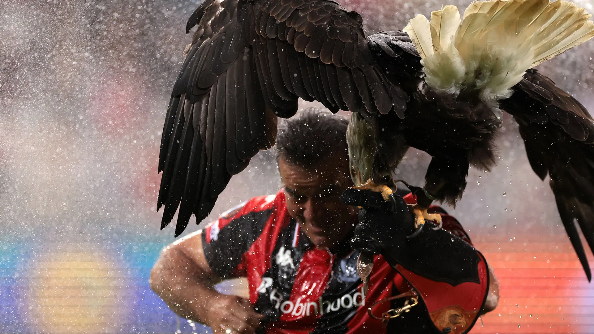 Disavventura per Mefi e il falconiere Jean-Philippe Roman
