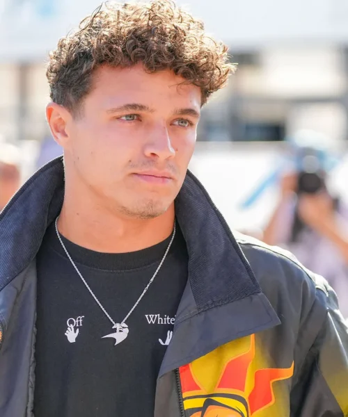 F1, Lando Norris durissimo con Max Verstappen: “Se vuole, può ritirarsi”
