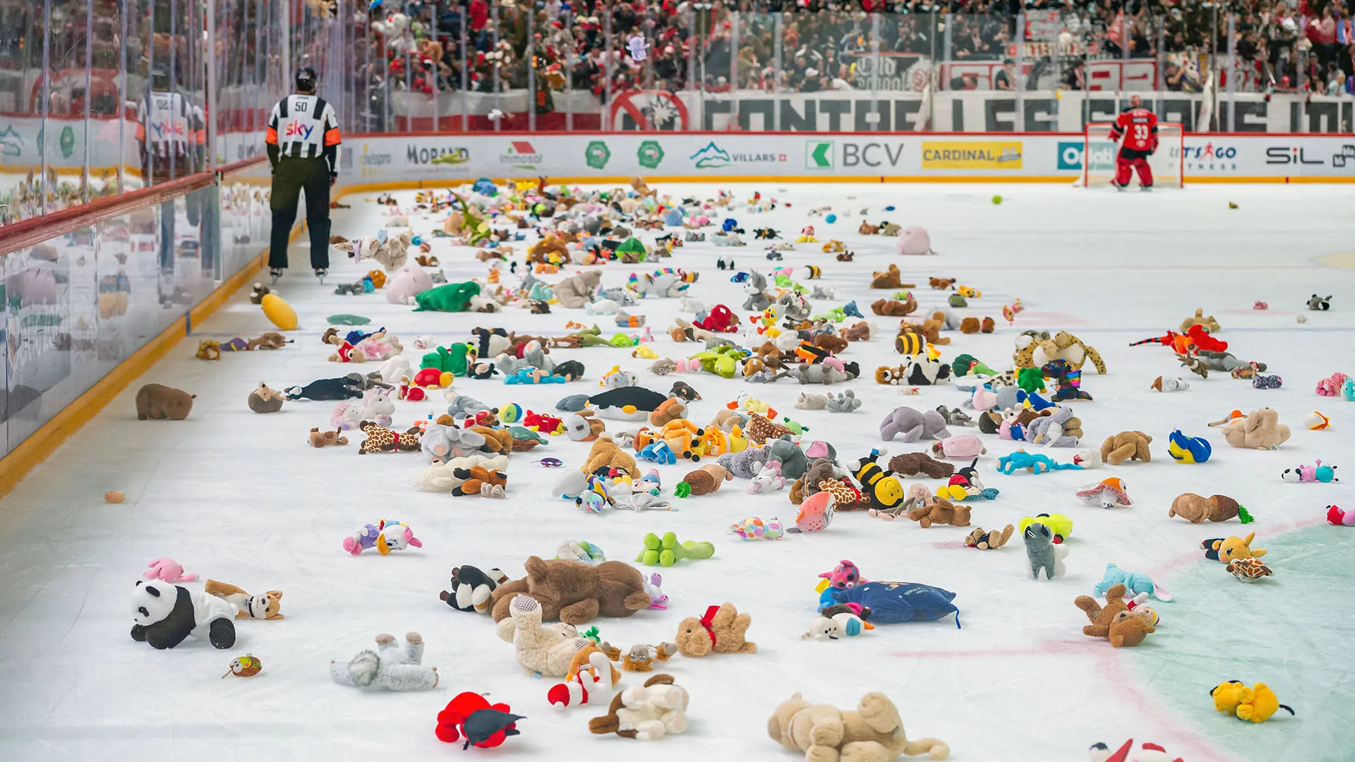 Generosissimi i tifosi di Lausanne HC e SC Bern
