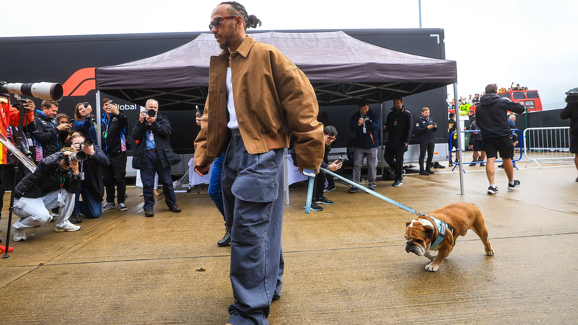 Il bulldog di dodici anni è attualmente ricoverato in una clinica, e l'attenzione di Hamilton è al momento rivolta a lui