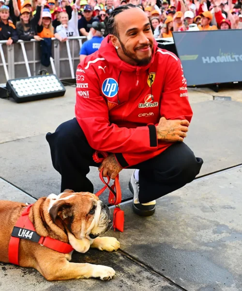 Addio a Roscoe, l’amato cane di Lewis Hamilton. Immagini