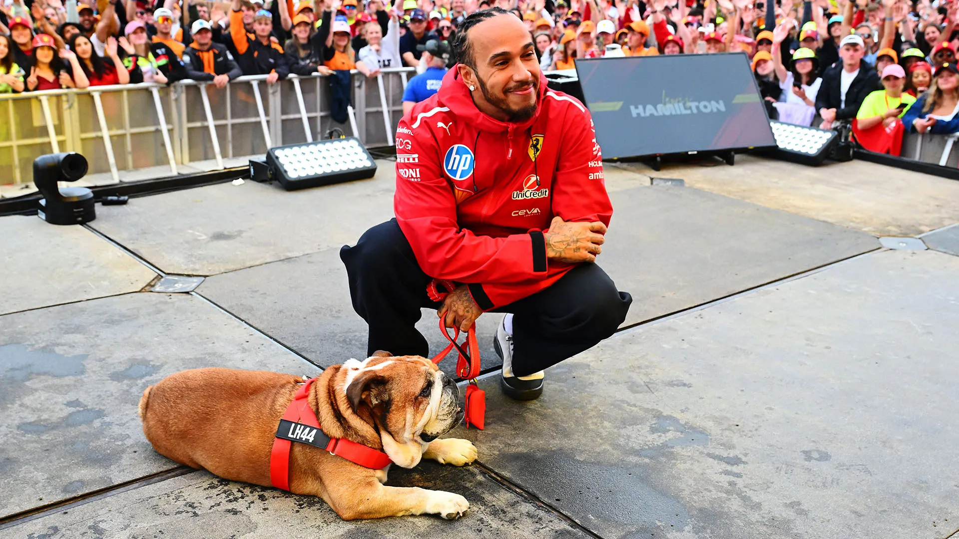 Ore difficili per l'amato cane del sette volte campione del mondo