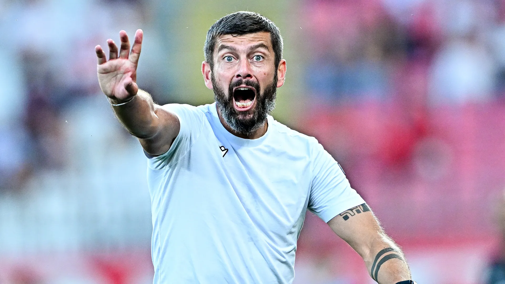Serie B 2025-2026: Bari-Sampdoria, le probabili formazioni
