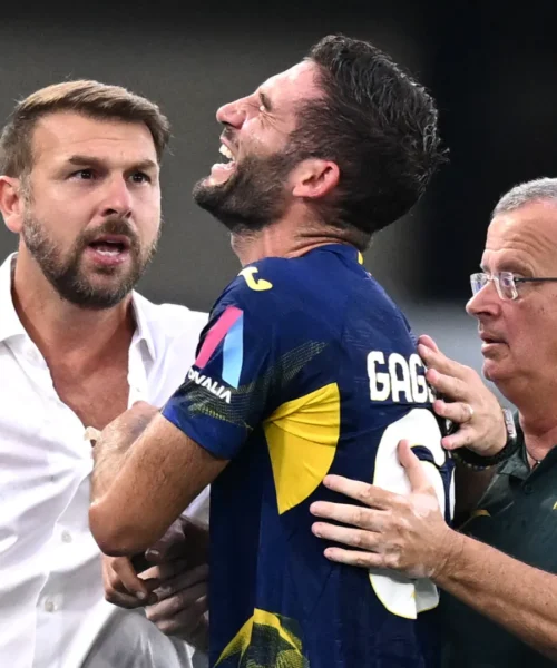 Roberto Gagliardini ko, Paolo Zanetti lo esalta: “Stratosferico”
