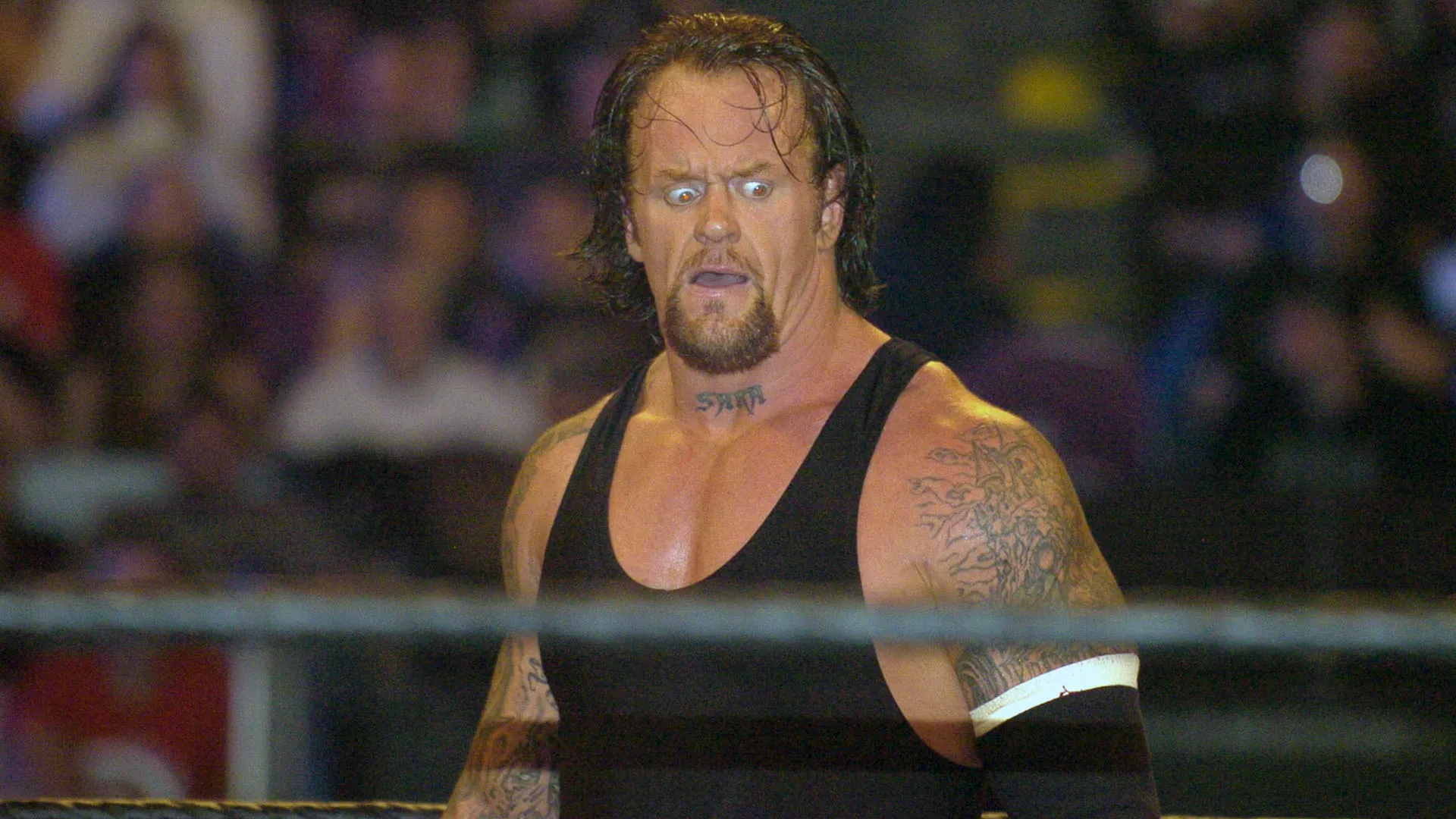 Undertaker è il terzo wrestler per numero di presenze (174) e primatista per numero di vittorie (107) in eventi in pay-per-view WWF/E
