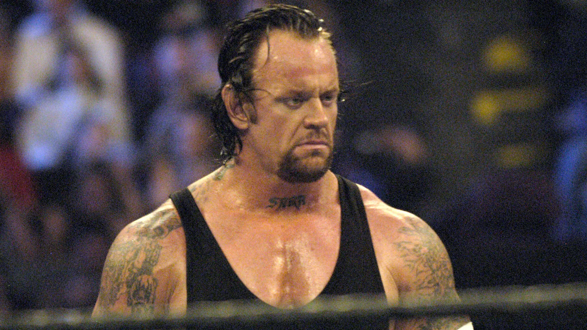 Detiene la striscia di vittorie più lunga a WrestleMania, pari a 21 incontri
