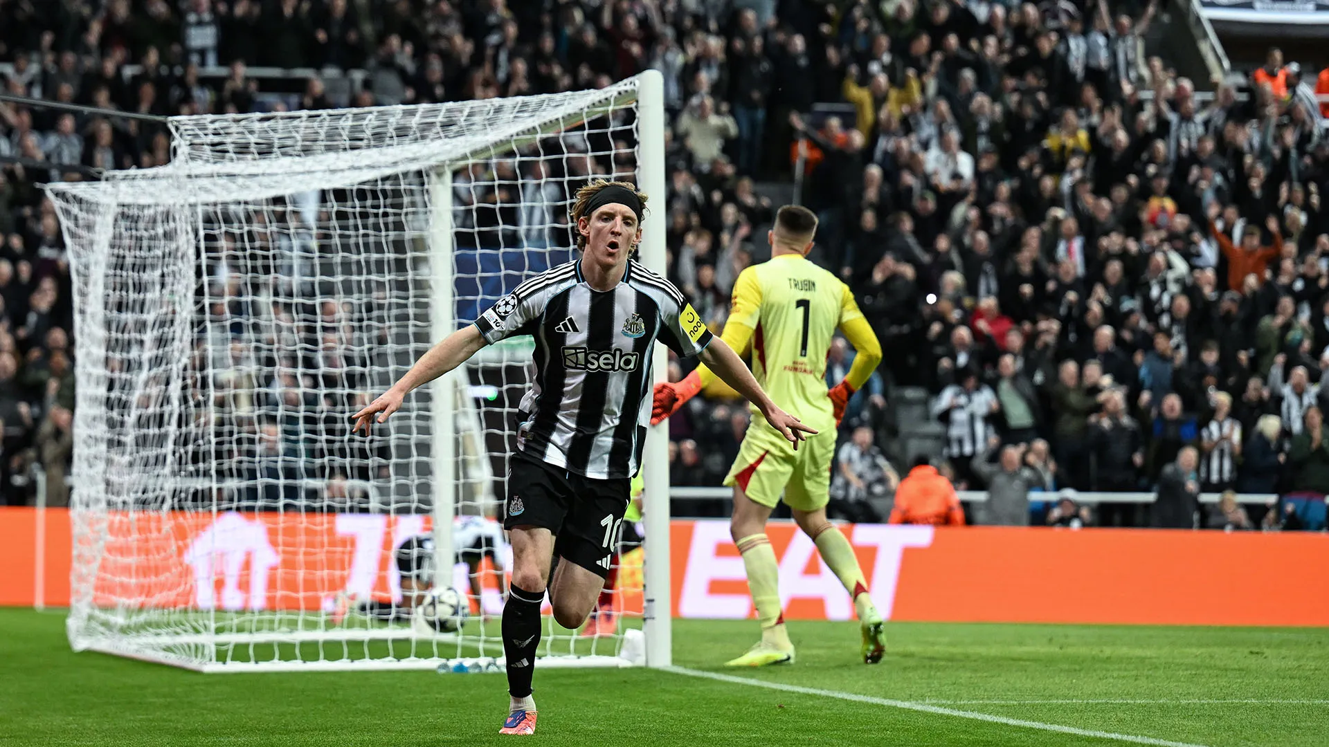Anthony Gordon ha aperto le marcature della sfida tra Newcastle e Benfica