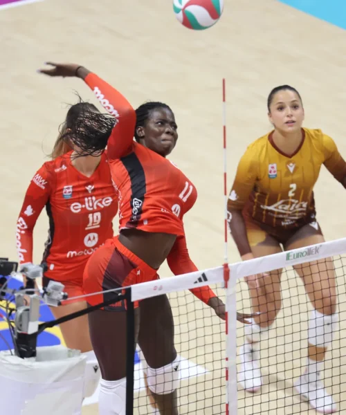 Paura per le campionesse di tutto, che cosa è successo alle pantere: le foto