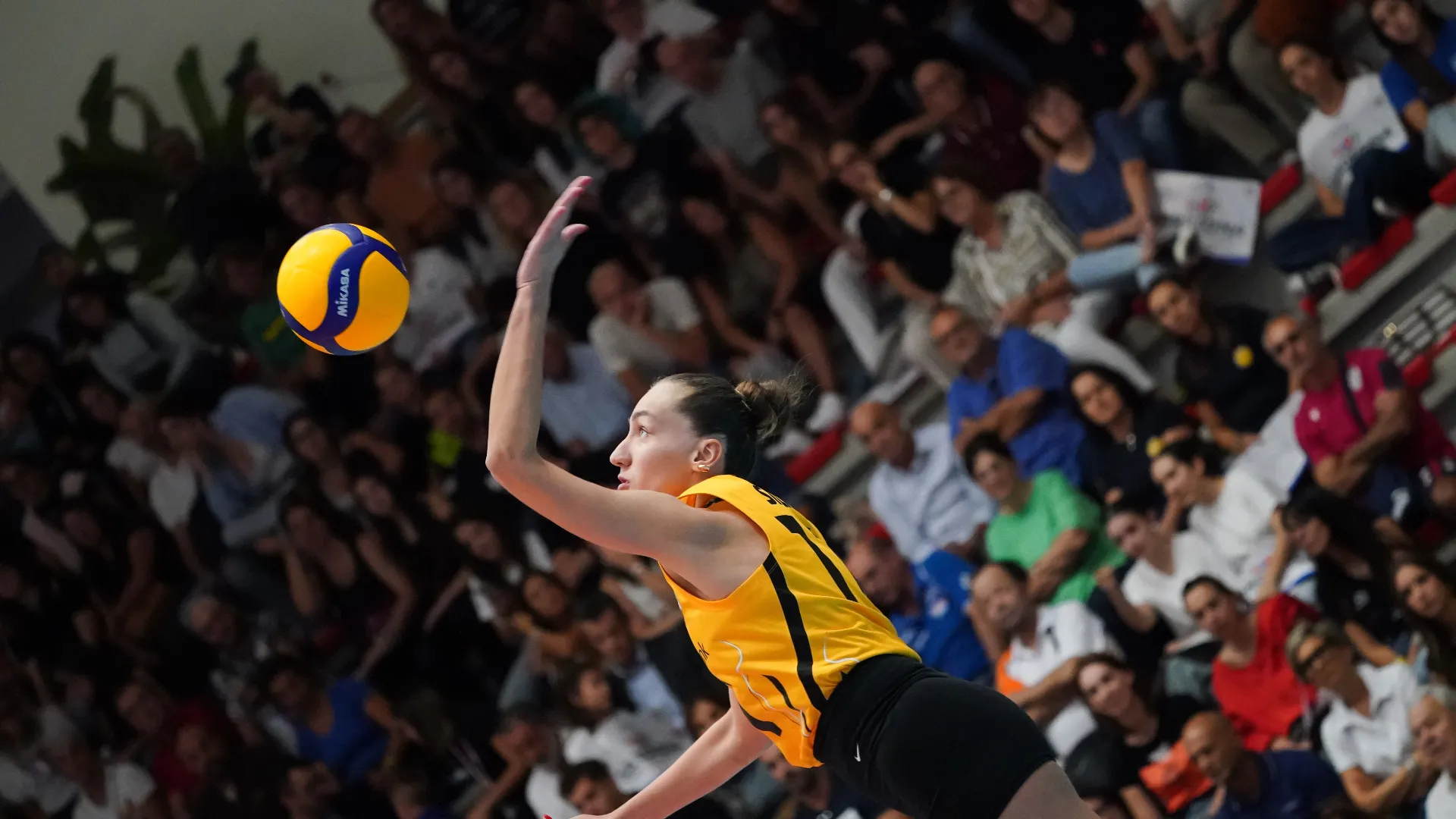 Durante la sua carriera ha giocato molti anni in Italia