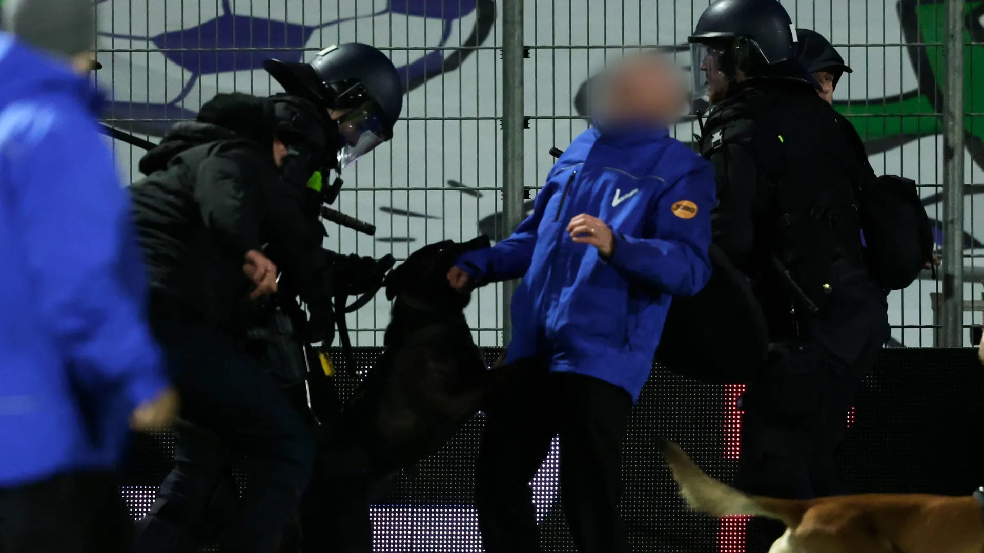 Diversi gli invasori morsi dai cani della polizia