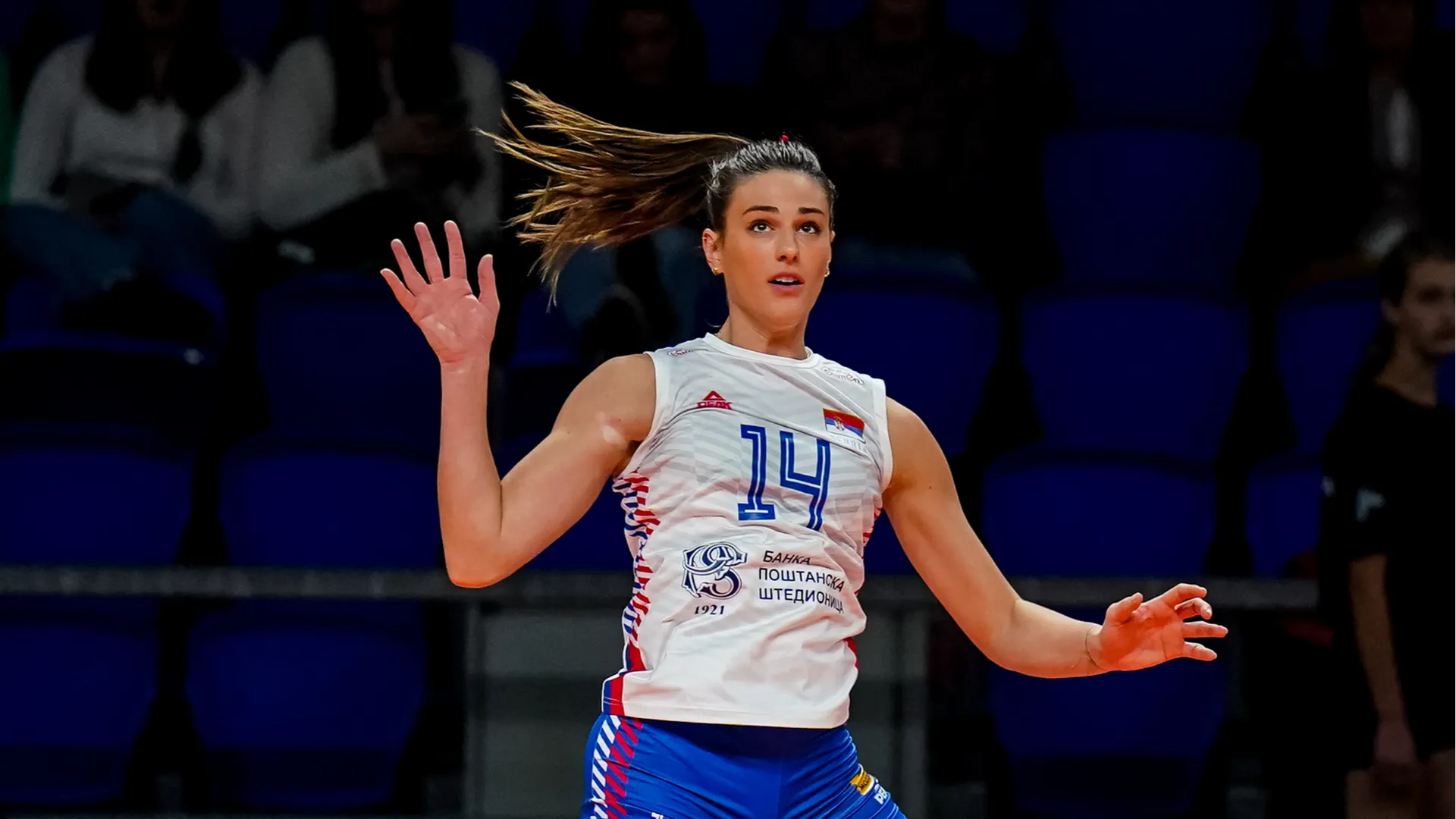 Coni club ha vinto 5 campionati serbi, 3 campionati rumeni, 1 Coppa di Francia, 3 Coppa di Romania, 1 Coppa di Serbia, 4 Supercoppe Serbe, 1 Supercoppa rumena e 1 Coppa CEV
