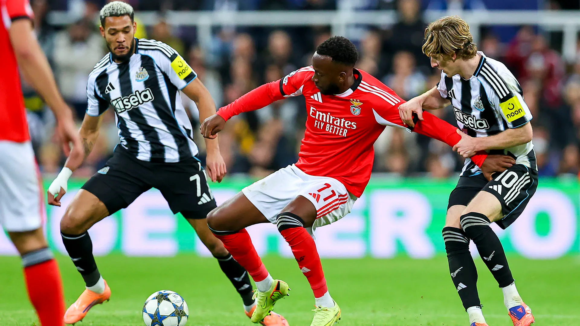Il Benfica non ha potuto nulla di fronte alla qualità dei calciatori del Newcastle