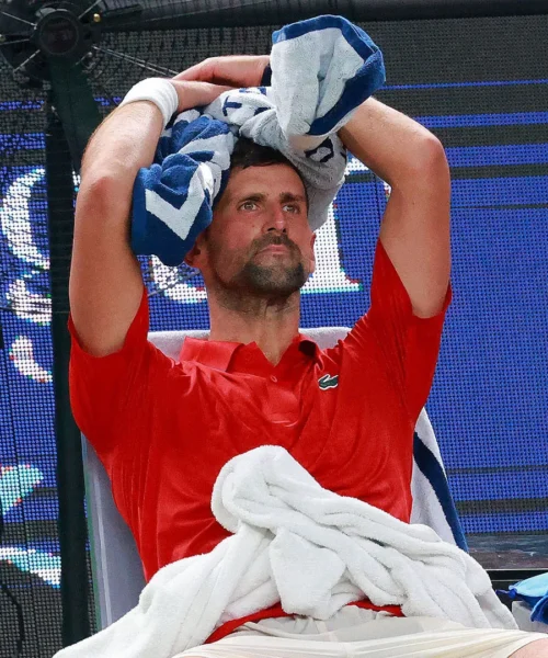 Novak Djokovic costretto a scusarsi dopo il ko con Jannik Sinner