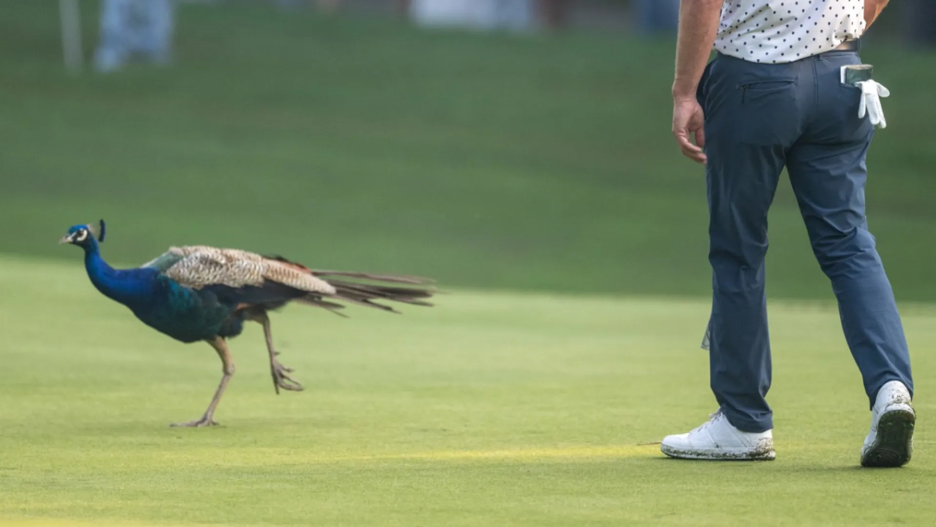 Luke Donald è riuscito ad allontanarlo dopo vari tentativi