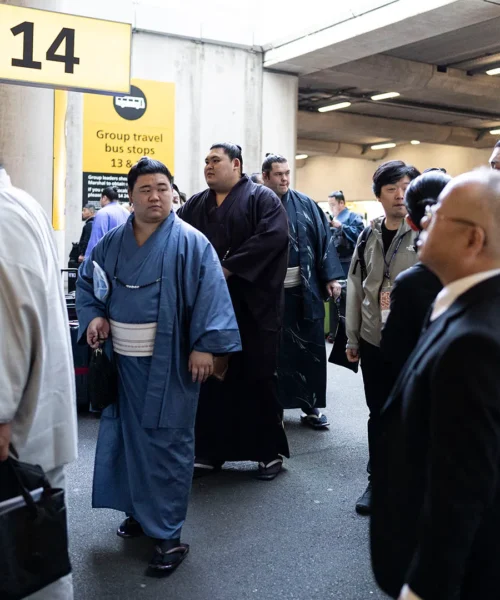 Gli imponenti campioni di sumo impressionano i passeggeri in aeroporto: le immagini