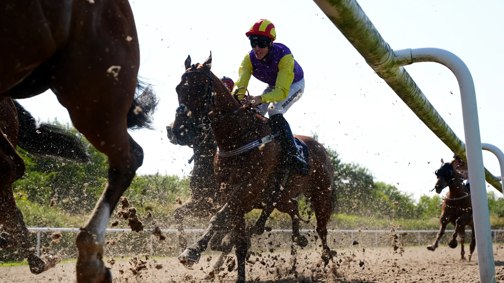 Tommie Jakes era allenato dal famoso top trainer George Boughey