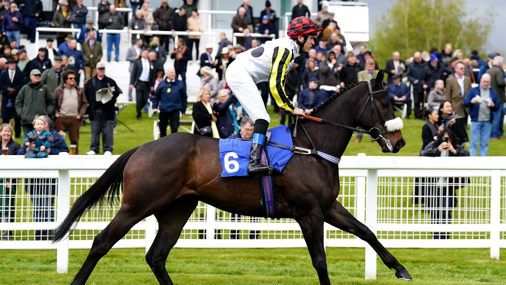 "È con profonda tristezza che annunciamo la morte dell'apprendista fantino Tommie Jakes, 19 anni, tragicamente scomparso giovedì mattina nella sua casa vicino a Newmarket", è la nota della Professional Jockeys Association