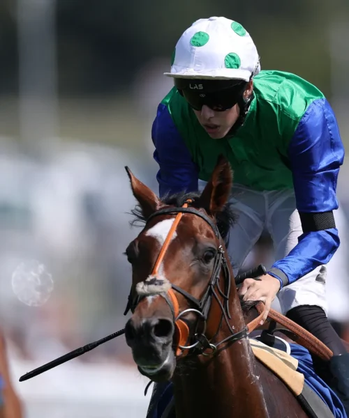 Terribile tragedia: morto l’astro nascente dell’ippica poche ore dopo la gara