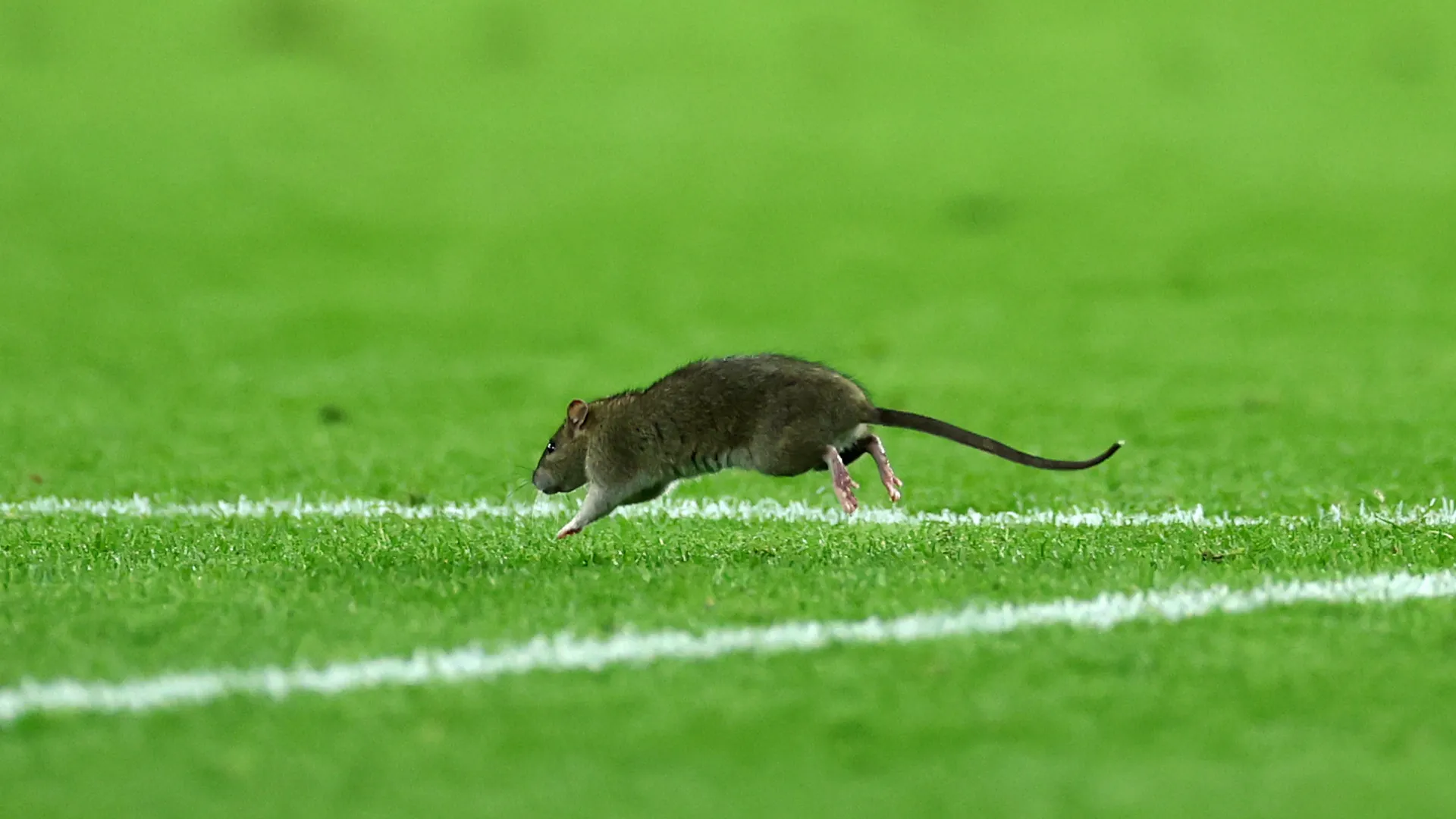 ... 4-2 per De Bruyne (doppietta su rigore) e compagni il finale