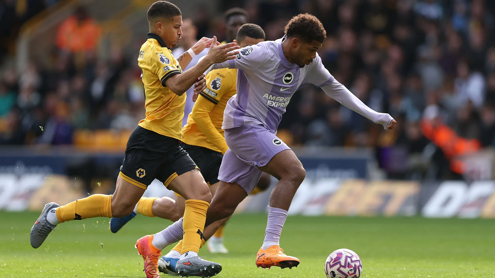 Brighton e Wolverhampton si sono affrontate nella settima giornata di Premier League