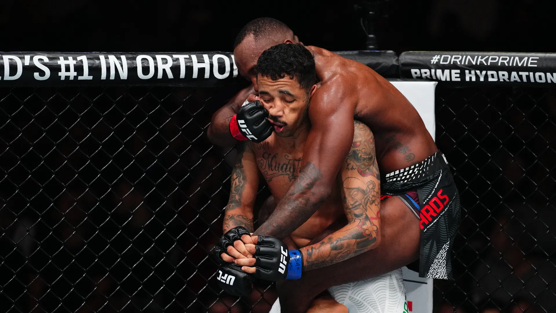 Tanti tifosi si sono scatenati: "Sembra un cartone animato", "E' una farsa, un circo", "Non ci credono nemmeno i bambini"