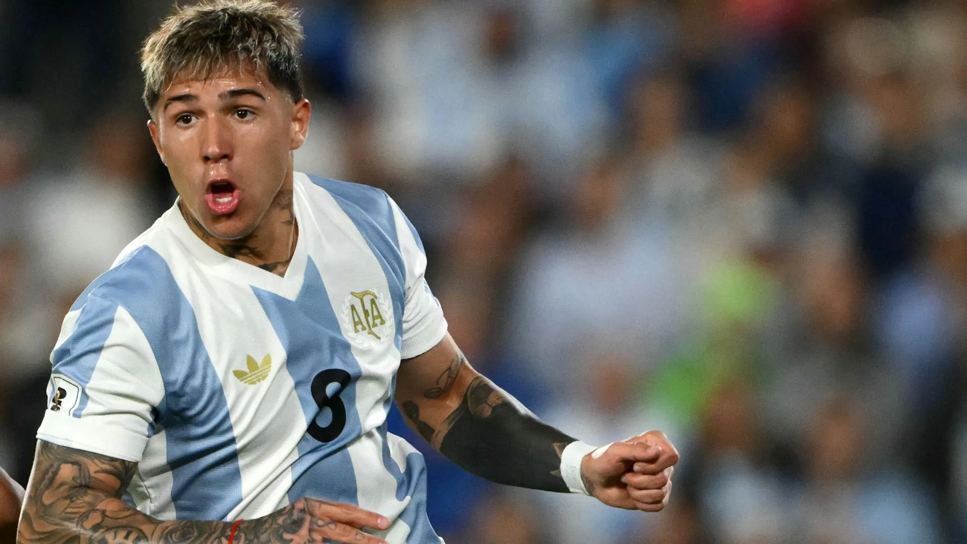 Enzo Fernandez dovrà restare a riposo per proseguire la convalescenza